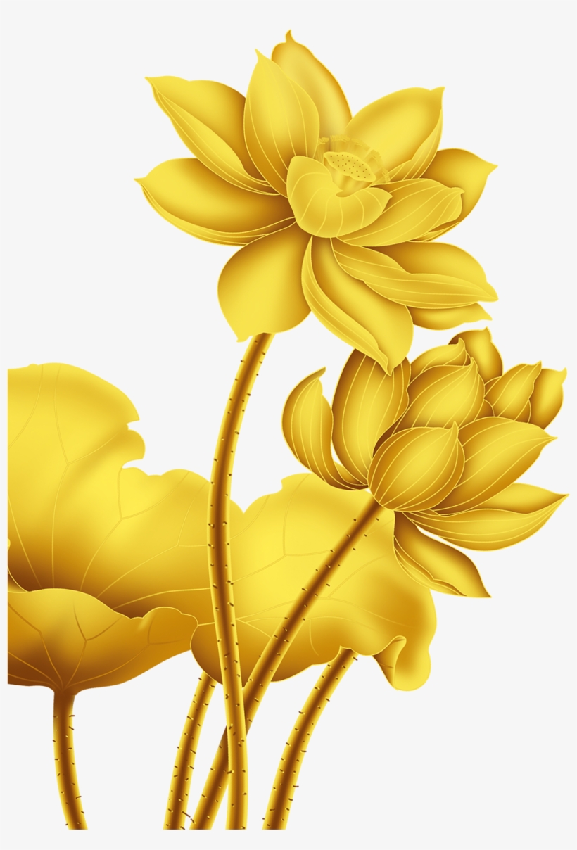 Gold Nelumbo Nucifera Beautifully Decorated Golden, transparent png download