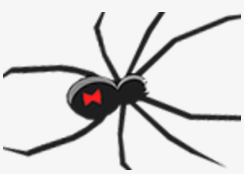 Halloween Looks - Black Widow Spider Ornament, transparent png download