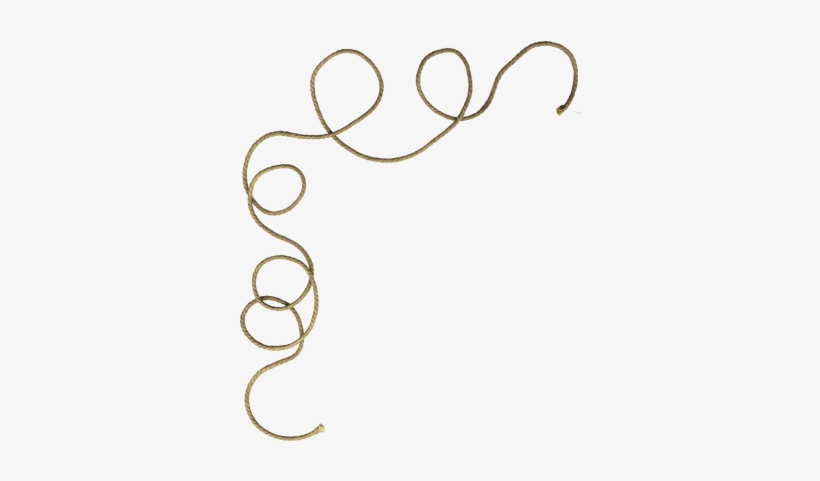 Curly Rope - Curly Rope Png, transparent png download