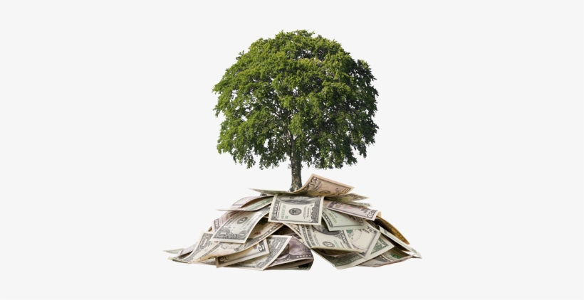 Money-tree About Us - Investments: An Introduction [book], transparent png download