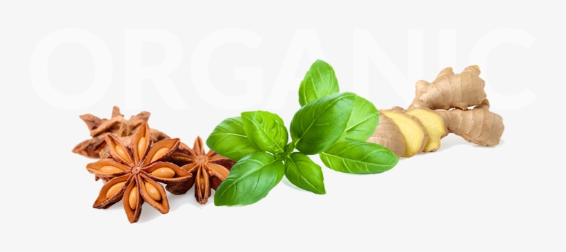 Sweet Basil - Ocimum Basilicum- The Essential Oil, transparent png download