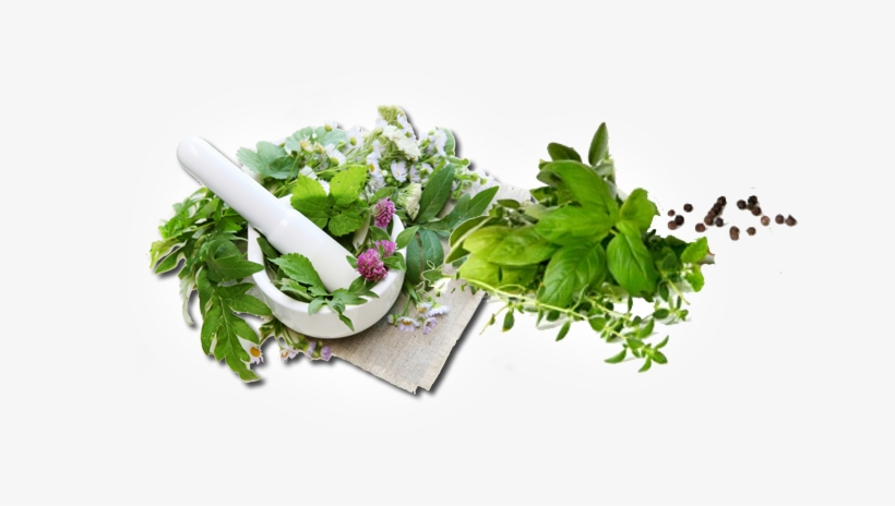 Making Herbal Remedies: Natural Health For The Whole, transparent png download