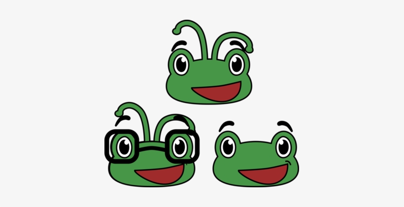 Beetle Frog Face Computer Icons Toad - Clip Art, transparent png download