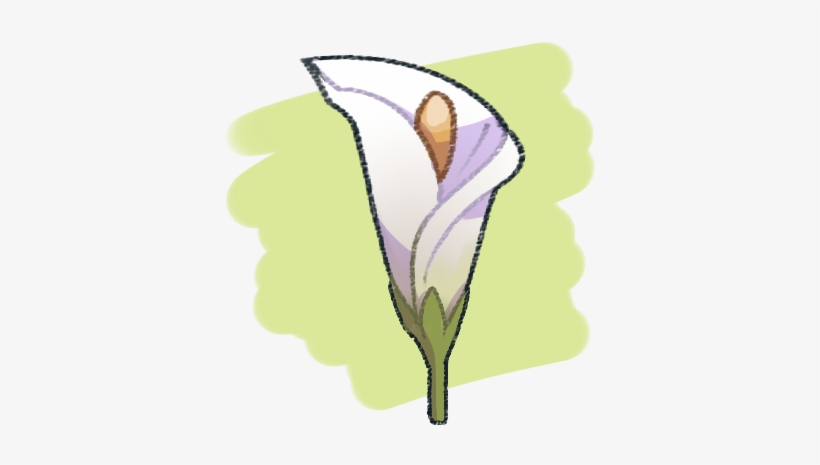Draw A Flora - Drawing, transparent png download
