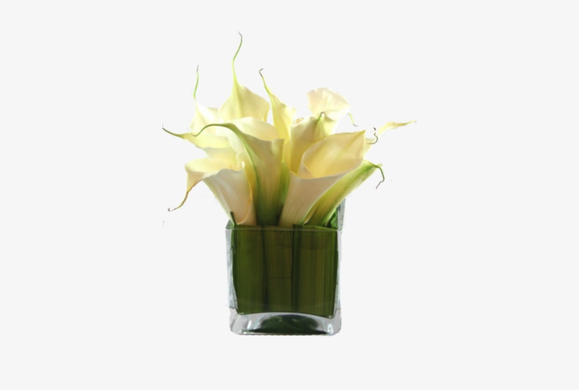 Calla Lilies - Jarro De Vidro Quadrado Flores, transparent png download