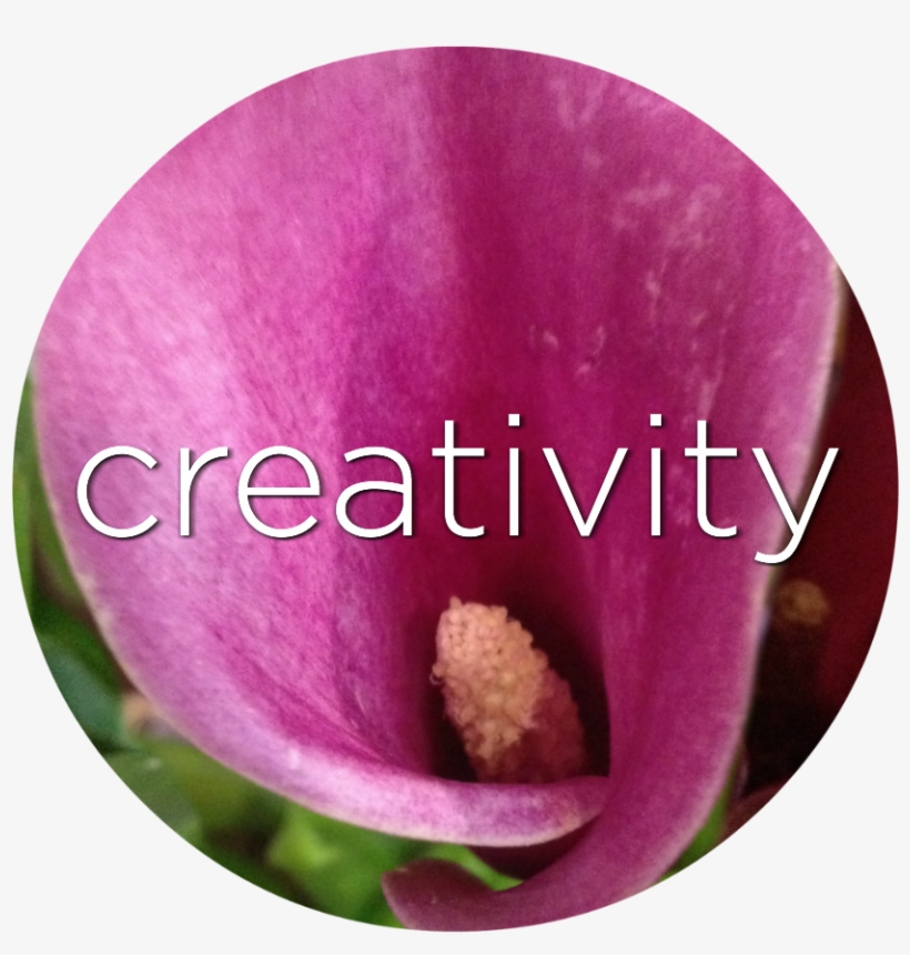 Creativity Purple Calla Lily Flower Essence - Lilac, transparent png download