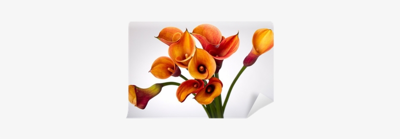 Painting, transparent png download