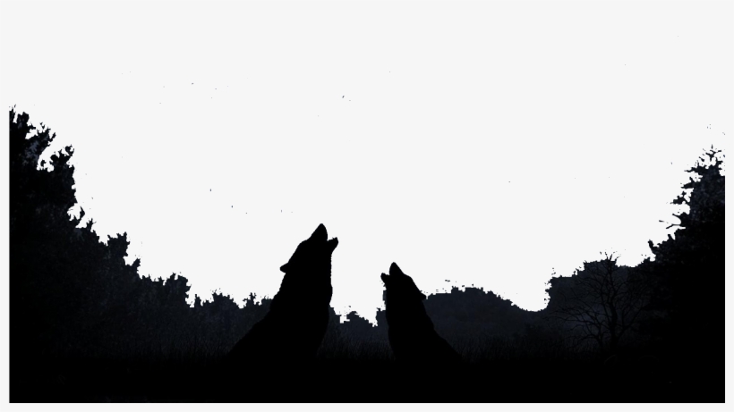 Leaders - Transparent Silhouettes Moon Png, transparent png download