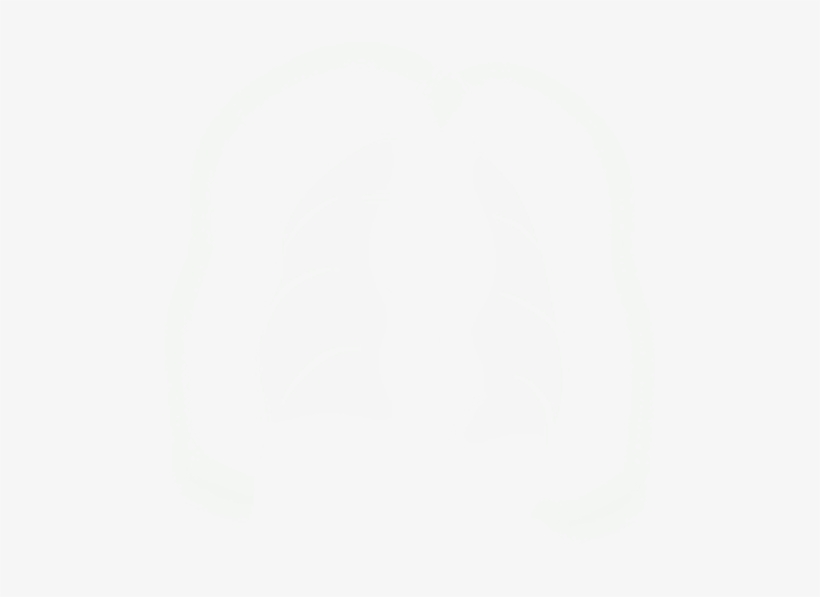 Mb Image/png - Paper Product, transparent png download