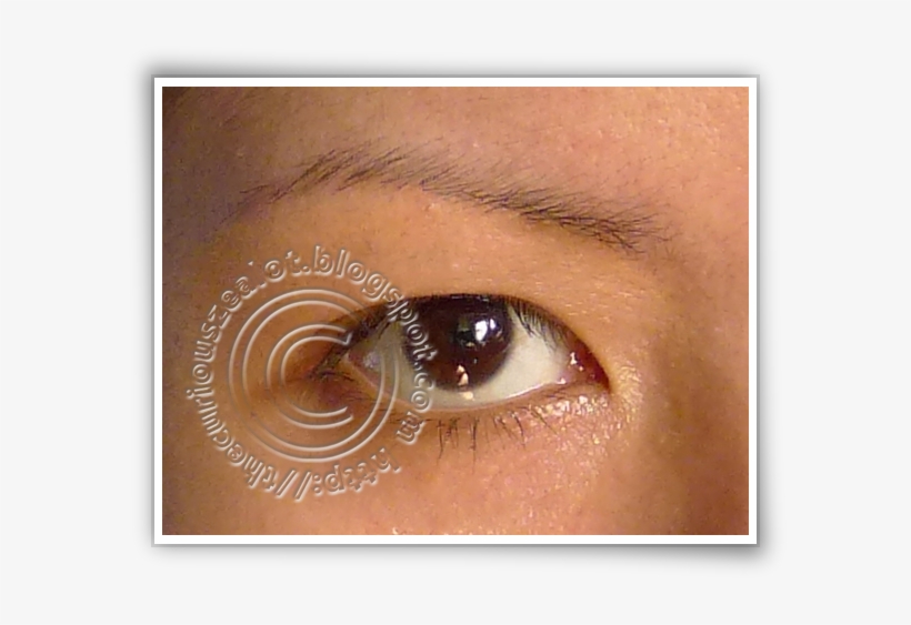 This Product Stays True To It Being Waterproof - Macro Photography, transparent png download