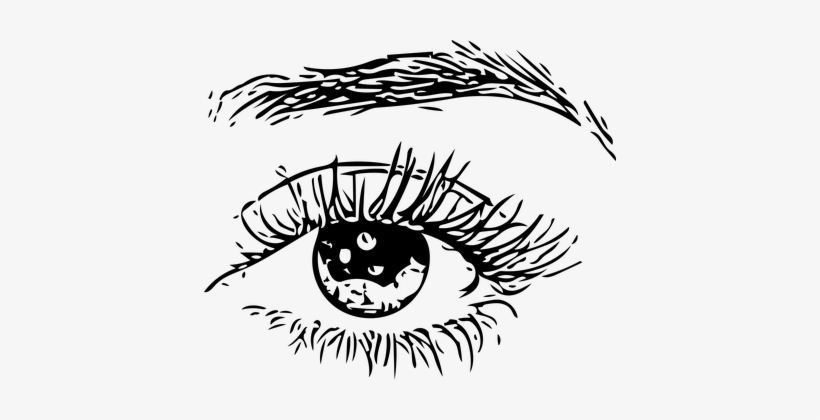 Eye, Eye Ball, Eyebrows, Human, Man - Illustration, transparent png download