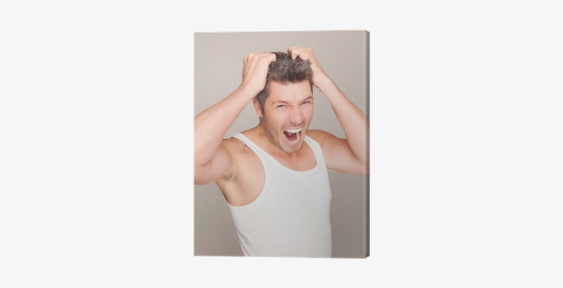 Photography, transparent png download