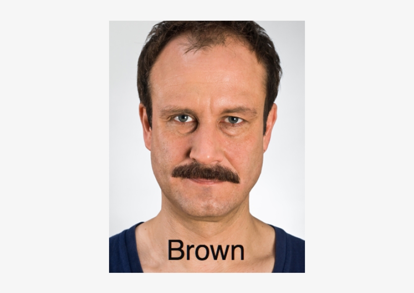 Kryolan Moustache, transparent png download