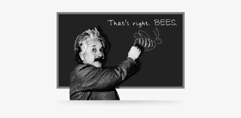 Albert Einstein's Theories, transparent png download