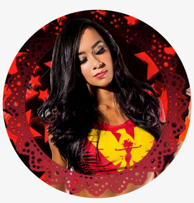 Ajleearg Aj Ajlee Ajbrooks Wwe Wrestling - Aj Lee Wwe Photoshoot, transparent png download