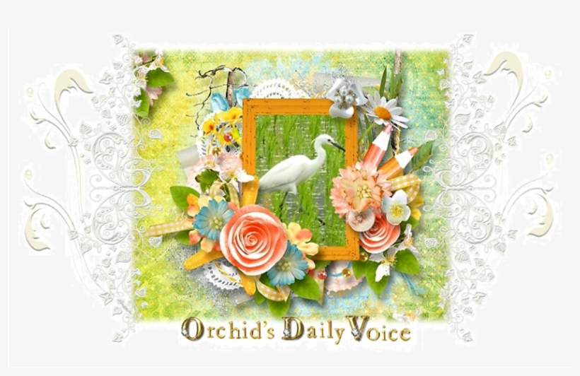 All Of A Sudden This Afternoon, Dragonfly-lover Husband - Garden Roses, transparent png download