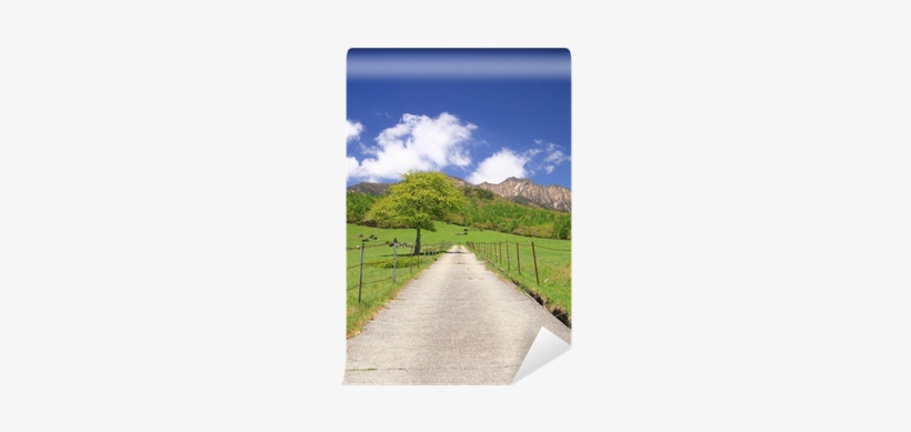 Straight Road In Meadow And Mt - 歌って弾ける日本のうたギター曲集 [書籍], transparent png download