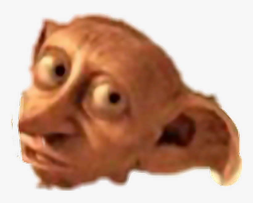 Report Abuse - Blowfish, transparent png download