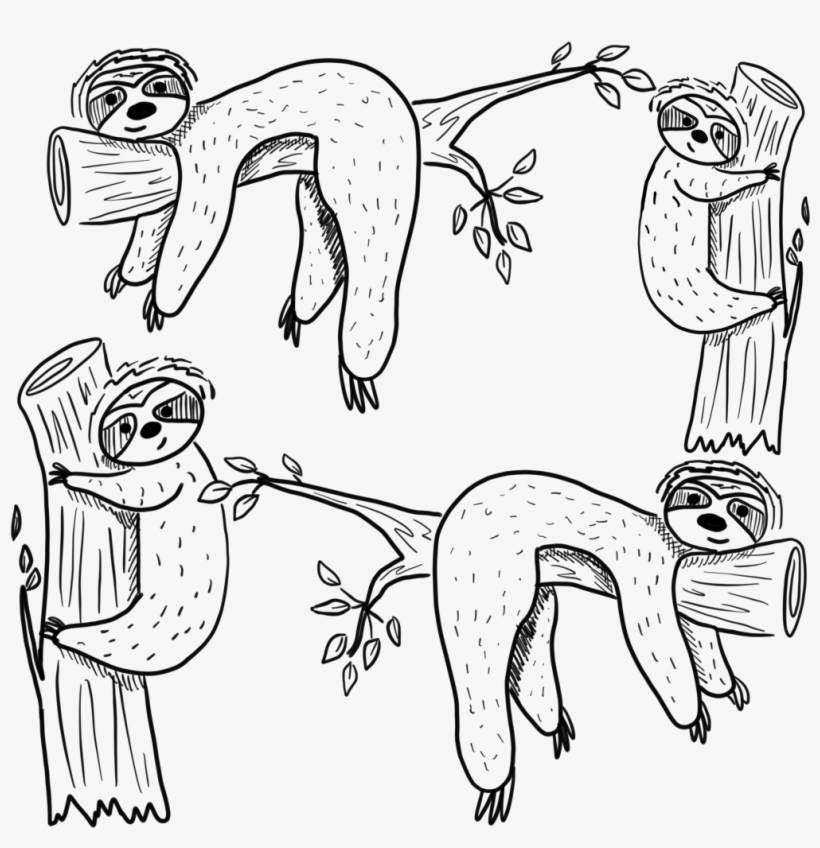 Picture - Line Art, transparent png download