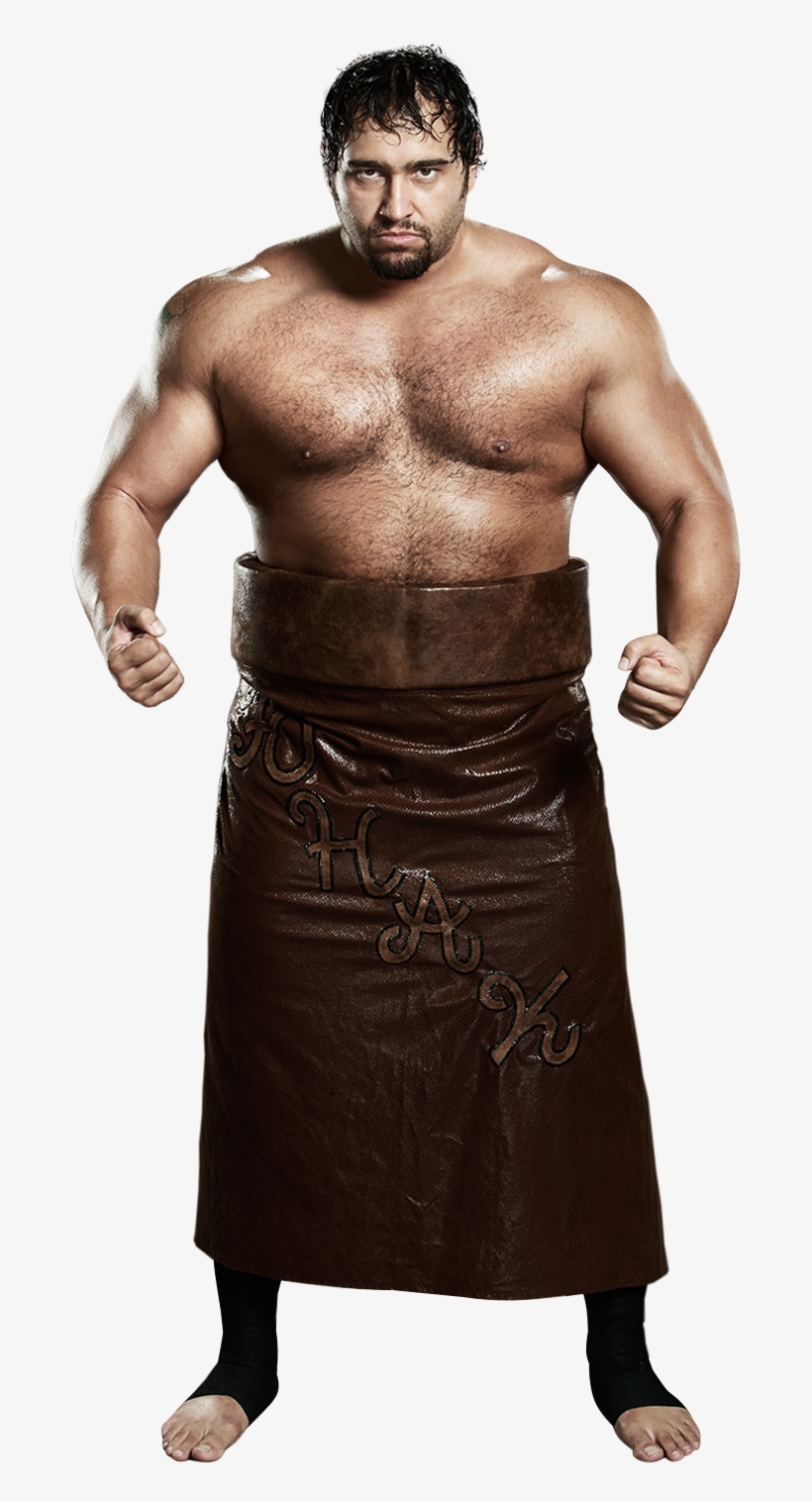 Всё Лучшее Для Вас - Wwe Bruno Sammartino Png, transparent png download