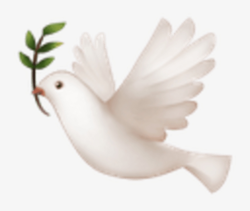 A Dove For When You Want To Make Peace With Yourself, - Dove Emoji Png, transparent png download