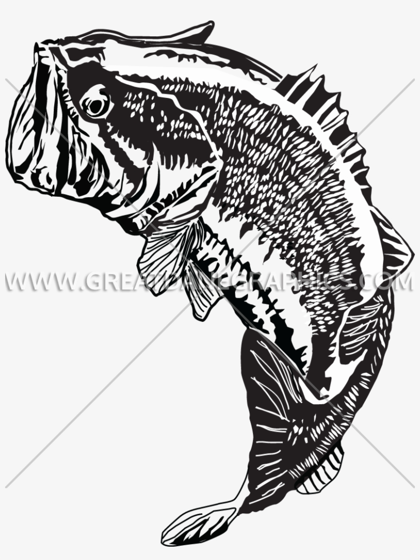 Large Mouth Bass Jumping, transparent png download
