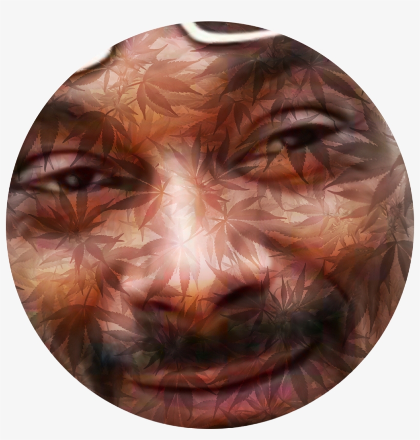 J6u4aut ] - Lampshade, transparent png download