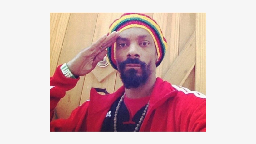 Snoop Lion - Snoop Dogg Smokes 81 Joints A Day, transparent png download