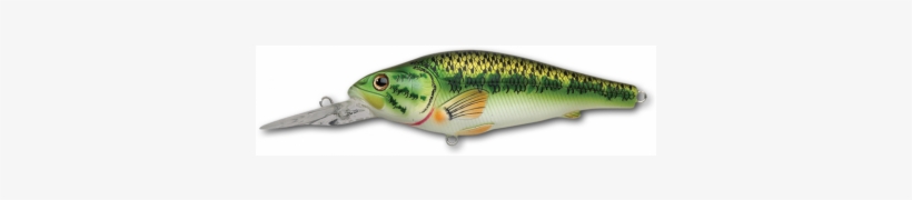 Koppers Livetarget Largemouth Bass Crankbait - Largemouth Bass Crankbait,natural/matte,6 - Ghilliesuitshop, transparent png download