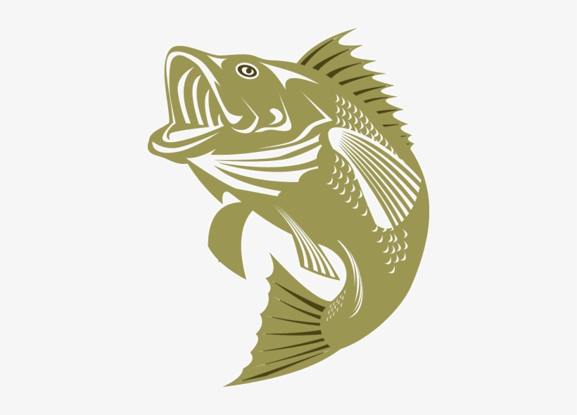 Bass Tournament - Cartoon Bass, transparent png download