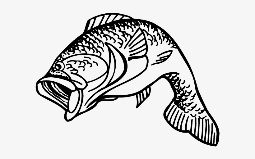 Stencils, transparent png download