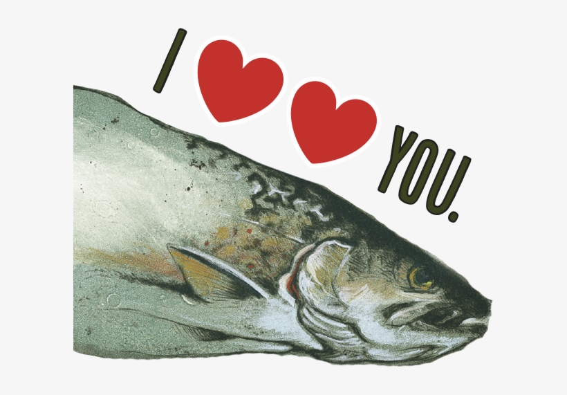 Two Heart You - Bells Beer, American Ipa, Two Hearted Ale, 12 Can Pack, transparent png download