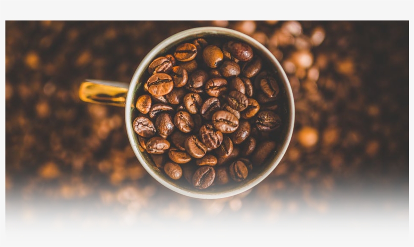 Freshly Roasted Coffee - Coffee Quality, transparent png download