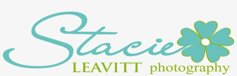 Horse, transparent png download