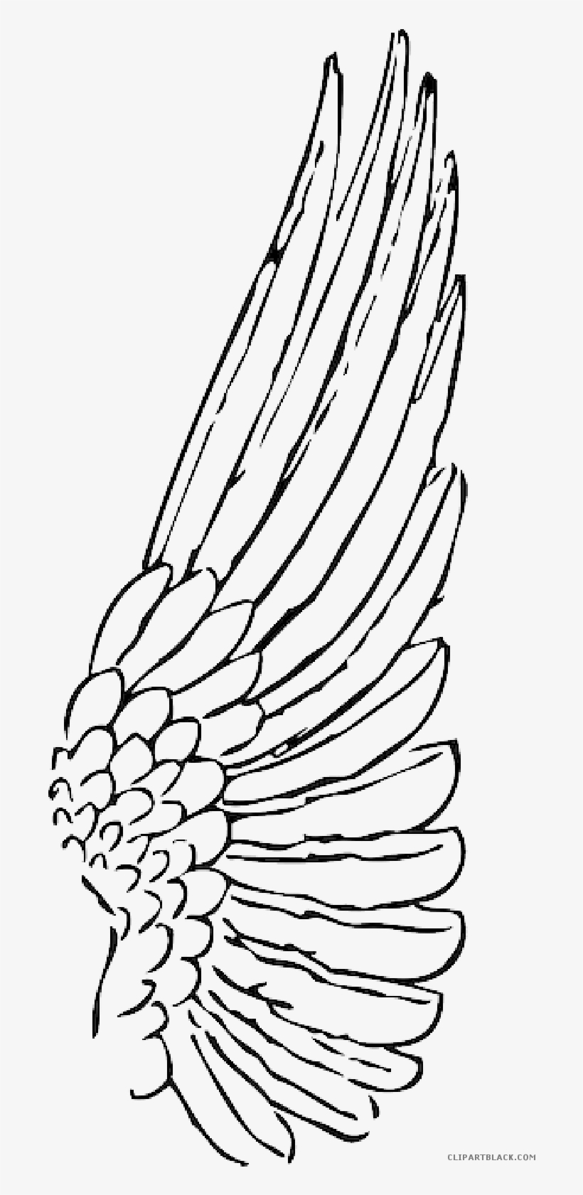Feather Clipart Animal Feather Animal Transparent Free - Wing Clipart, transparent png download