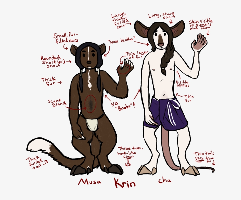 Krin Compare - Cartoon, transparent png download