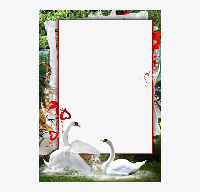 Love Frame Png - Png Photo Frame Download, transparent png download