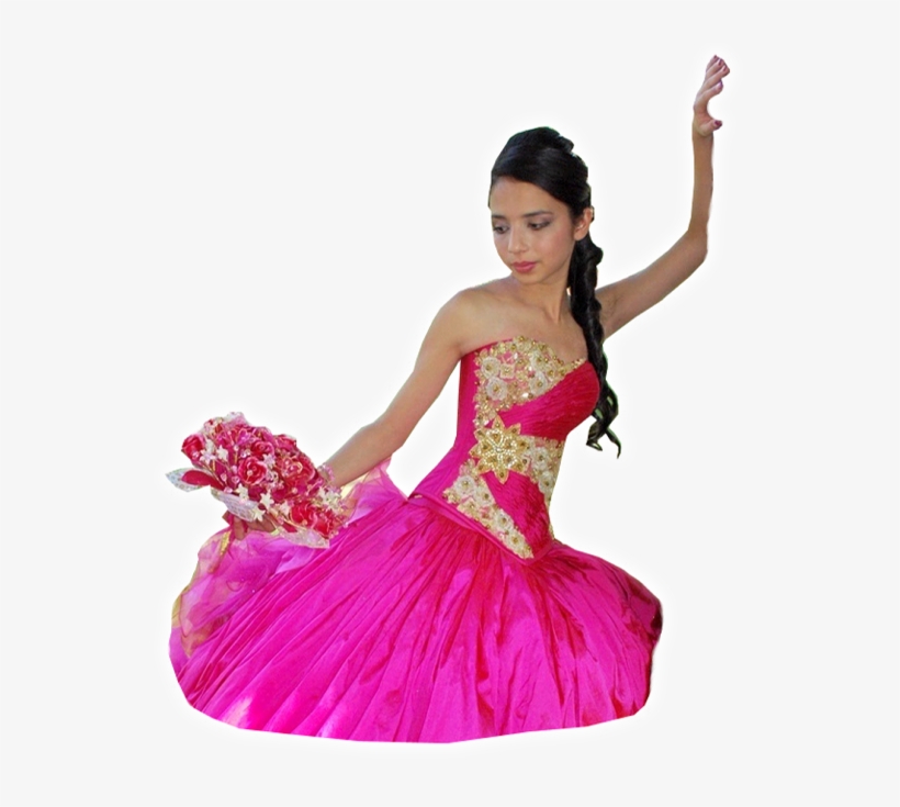 Soluciones Aqui Foto Y Video Digital Reno - Flamenco, transparent png download
