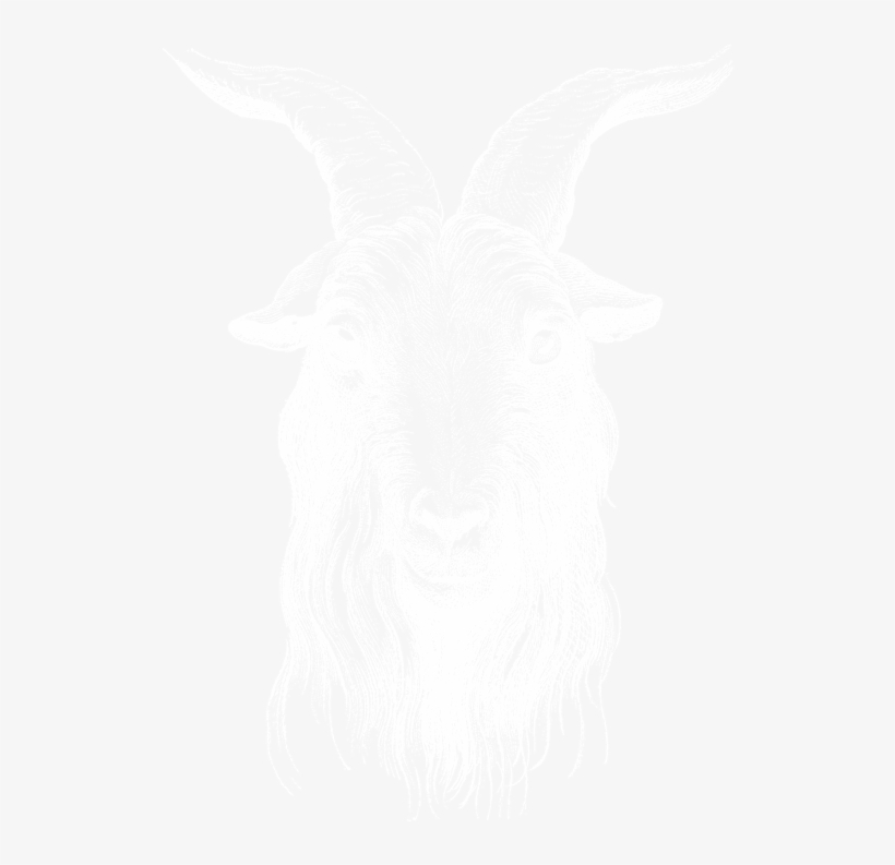 Unisex, transparent png download