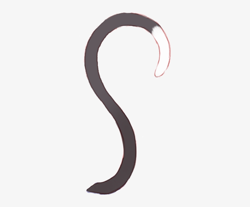 Кошачий Хвост Png, transparent png download