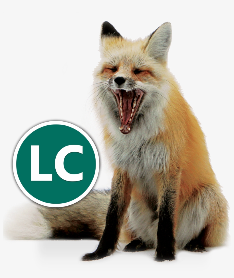 Red Fox Icon Conservation - Yellowstone National Park, transparent png download
