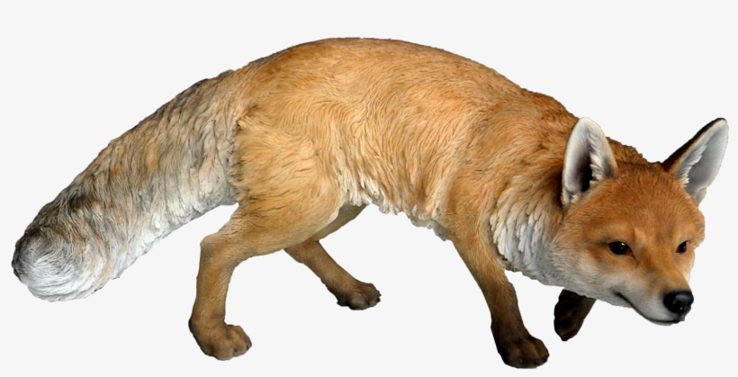 Fox Png - Real Woodland Animals, transparent png download