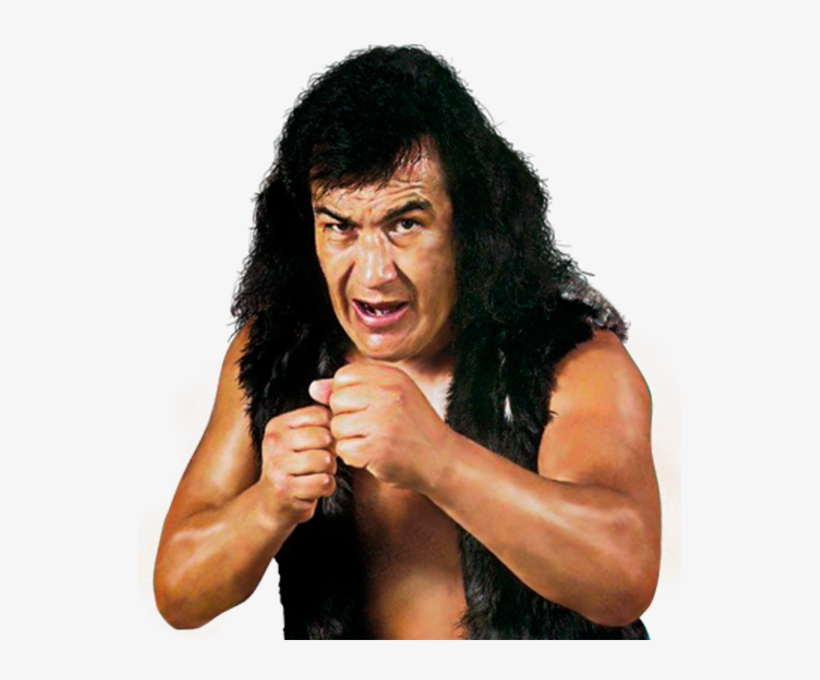 Perro Aguayo, transparent png download