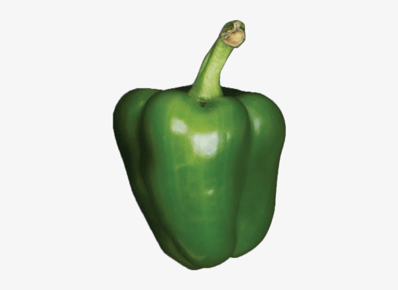 1 Unit - Green Bell Pepper, transparent png download