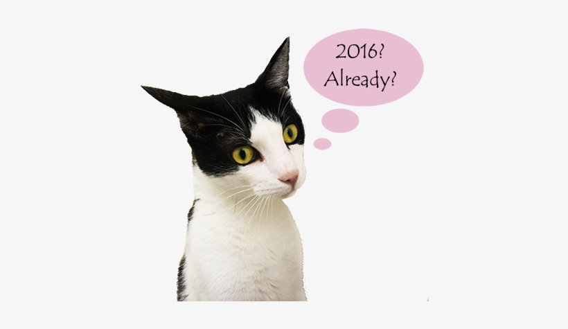New Year Hat 2015 Png New Years Hat Png New Years Drawings - 2018 Cat New Year, transparent png download