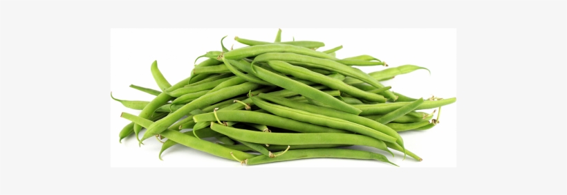 Beans French, transparent png download
