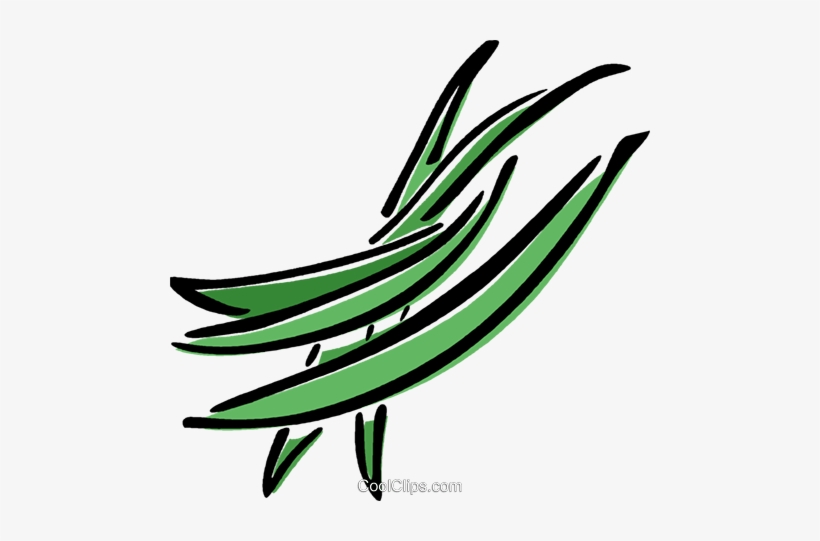 Green Beans Royalty Free Vector Clip Art Illustration - Clip Art Green Beans, transparent png download
