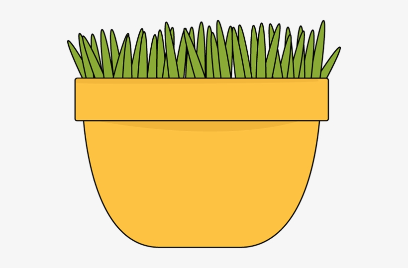 Bowl Of Green Beans Clip Art - Thanksgiving Green Beans Clipart, transparent png download