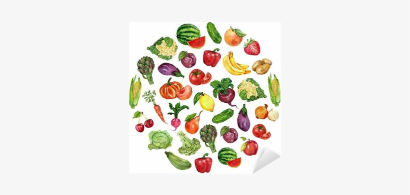 Watercolor Set With Fruits And Vegetables Sticker • - 野菜ソムリエ公式ガイドブック [書籍], transparent png download