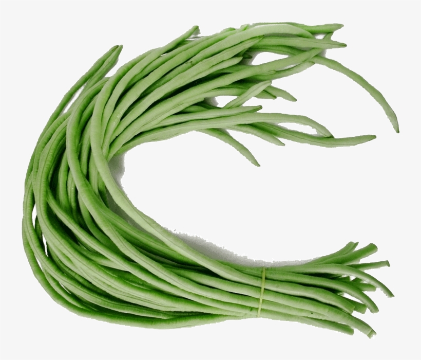 Out Of Stock - Green Loosened Bean Seeds, transparent png download